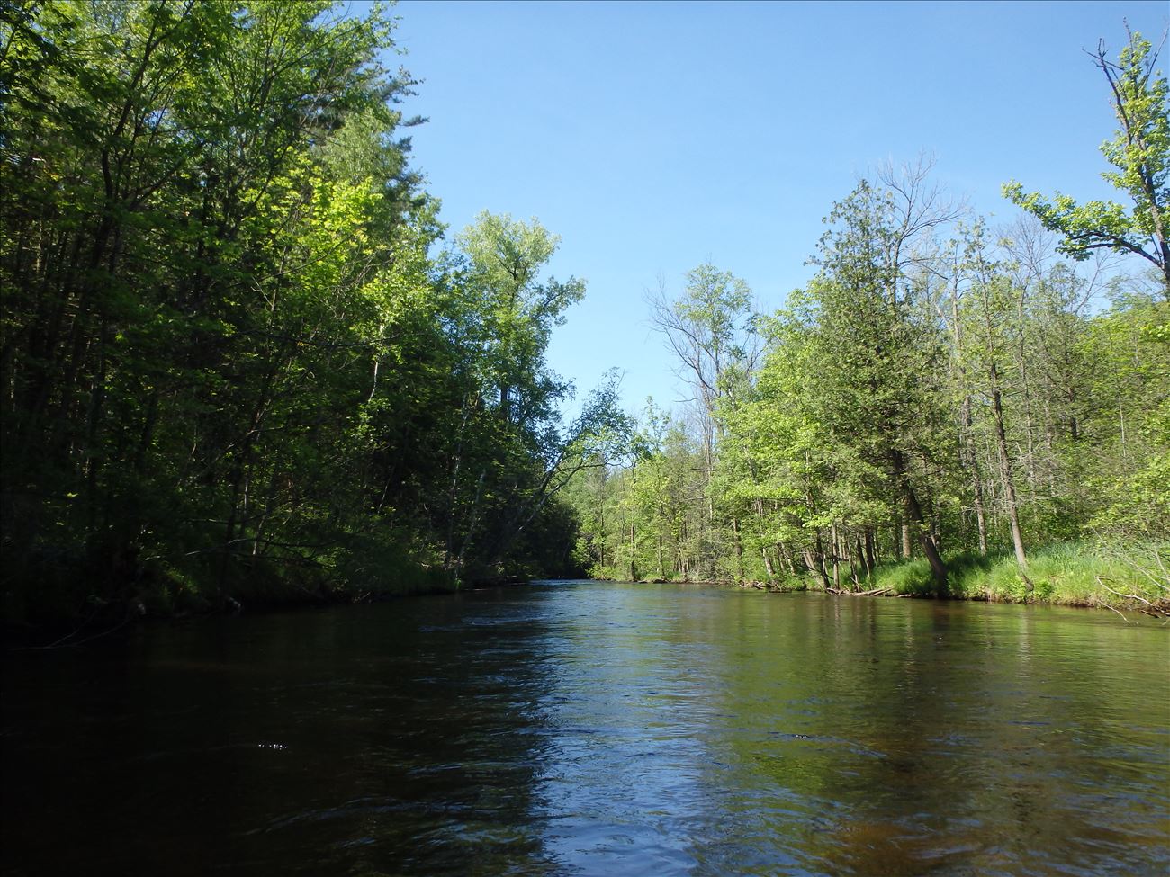 White River near White Cloud Michigan White River near White Cloud Michigan