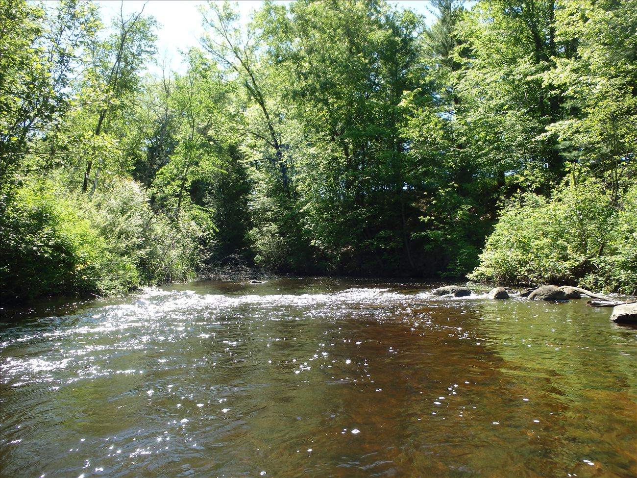 White River near White Cloud Michigan White River near White Cloud Michigan