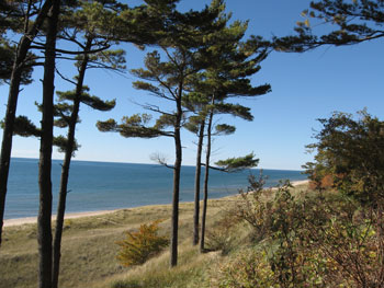 pioneer_ridge.jpg pioneer_ridge.jpg