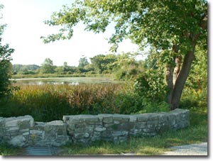 richardspark.jpg richardspark.jpg