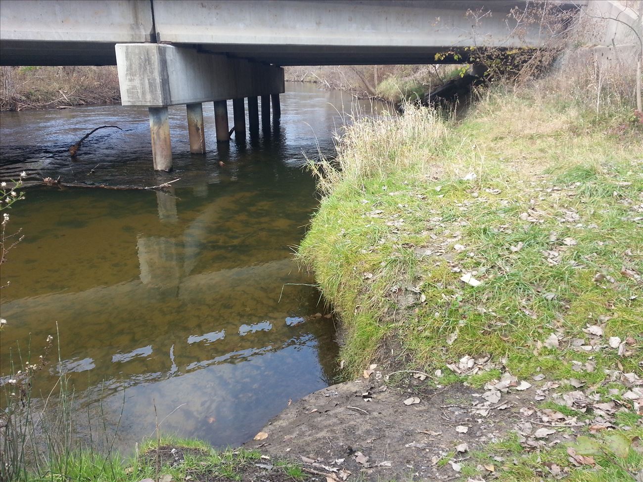 River Bank Launch Site immediately upstream from bridge River Bank Launch Site immediately upstream from bridge
