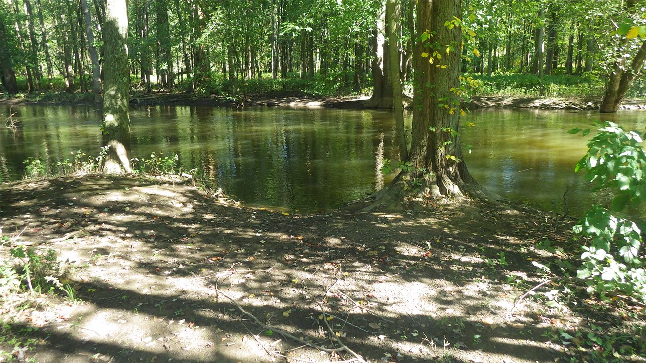 Roadside access to river at Bundy Road Roadside access to river at Bundy Road