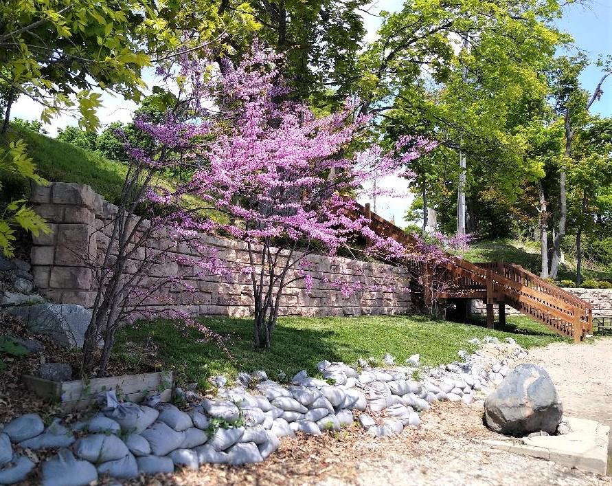 Sunrise Park from the beach Sunrise Park from the beach