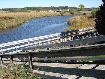 sutton_slide1.jpg sutton_slide1.jpg