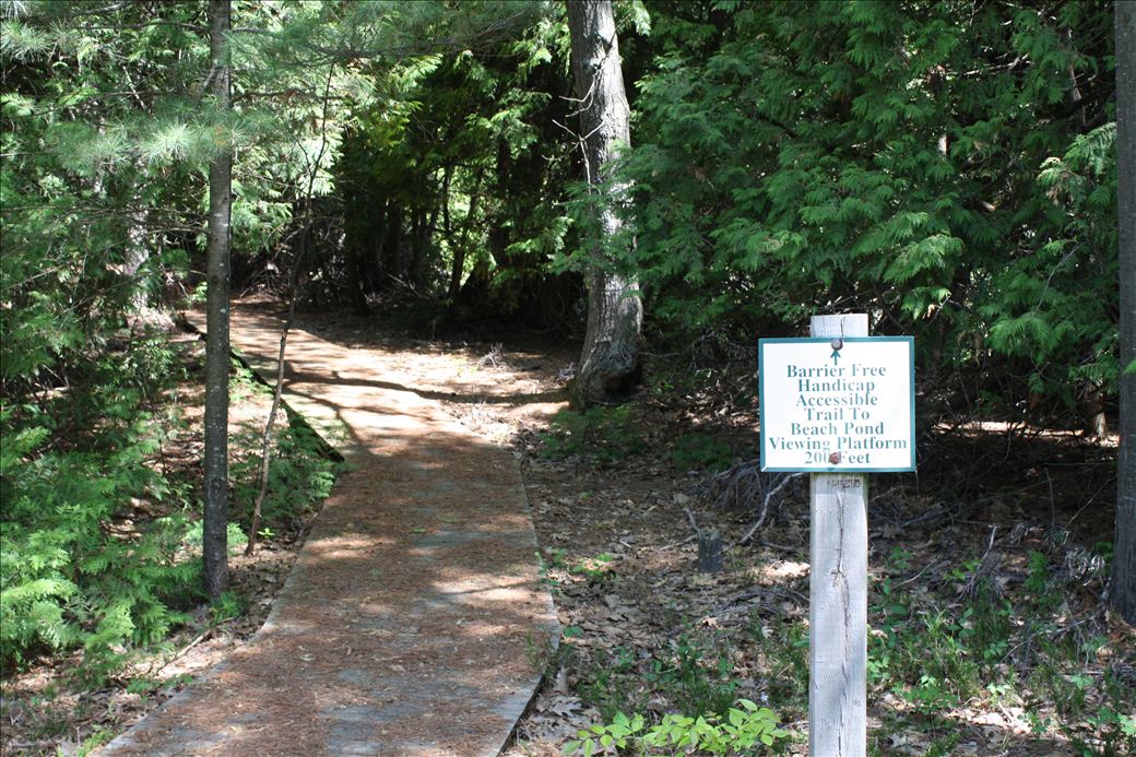 Torch Bay Nature Preserve