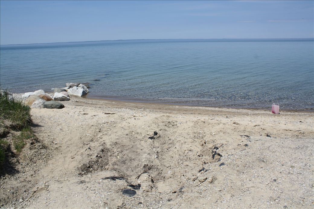 Torch Bay Nature Preserve Accessible to drive up unloading.