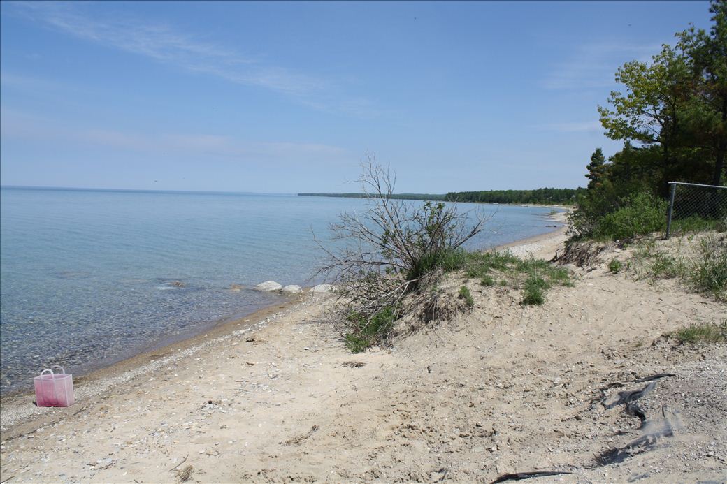 Torch Bay Nature Preserve