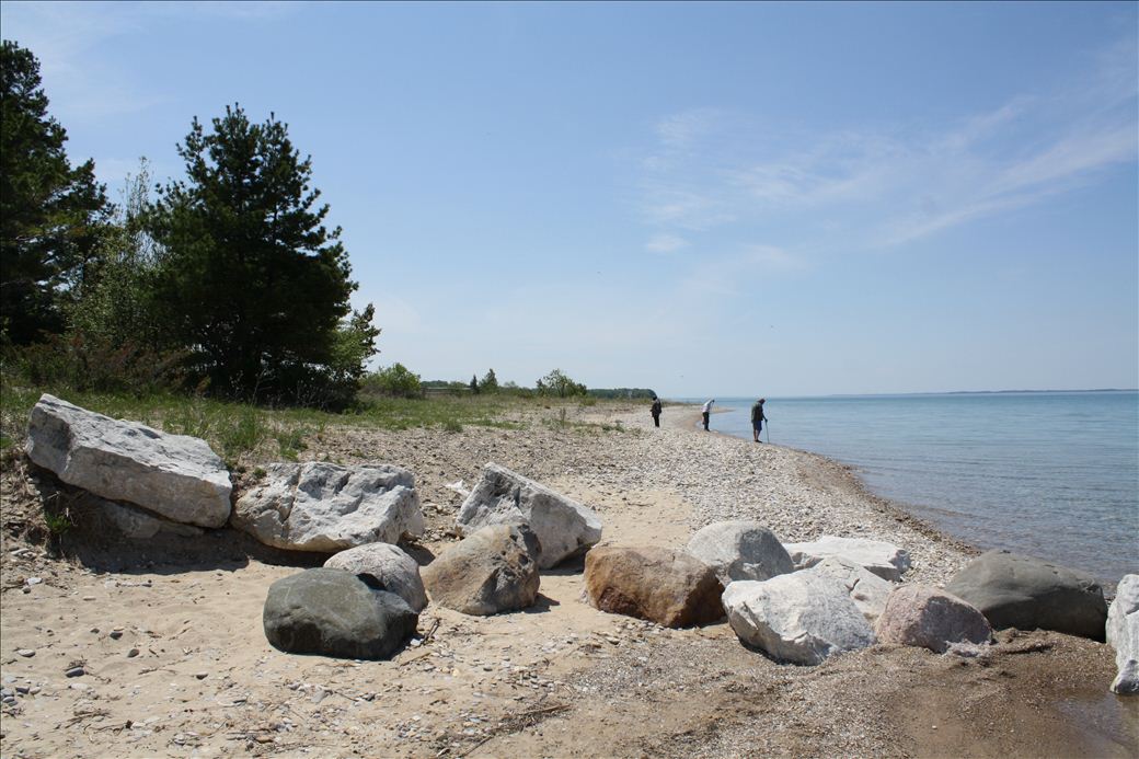Torch Bay Nature Preserve