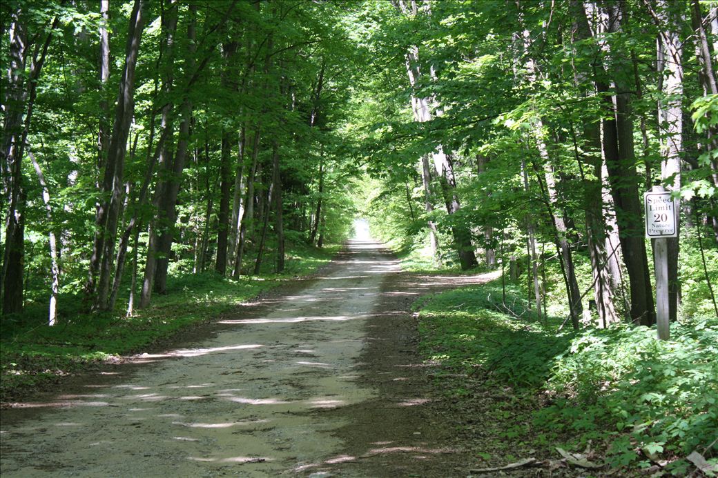 Torch Bay Nature Preserve
