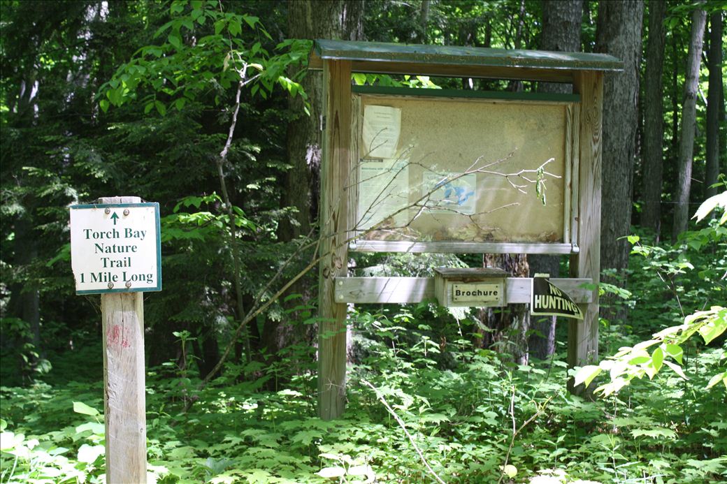 Torch Bay Nature Preserve