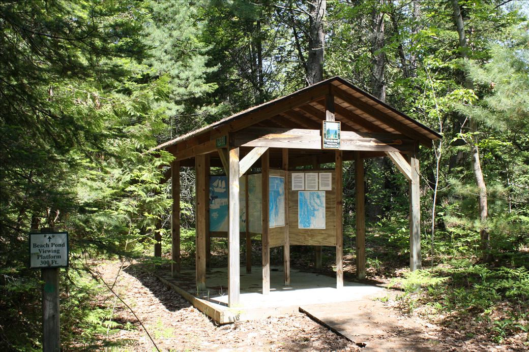 Torch Bay Nature Preserve