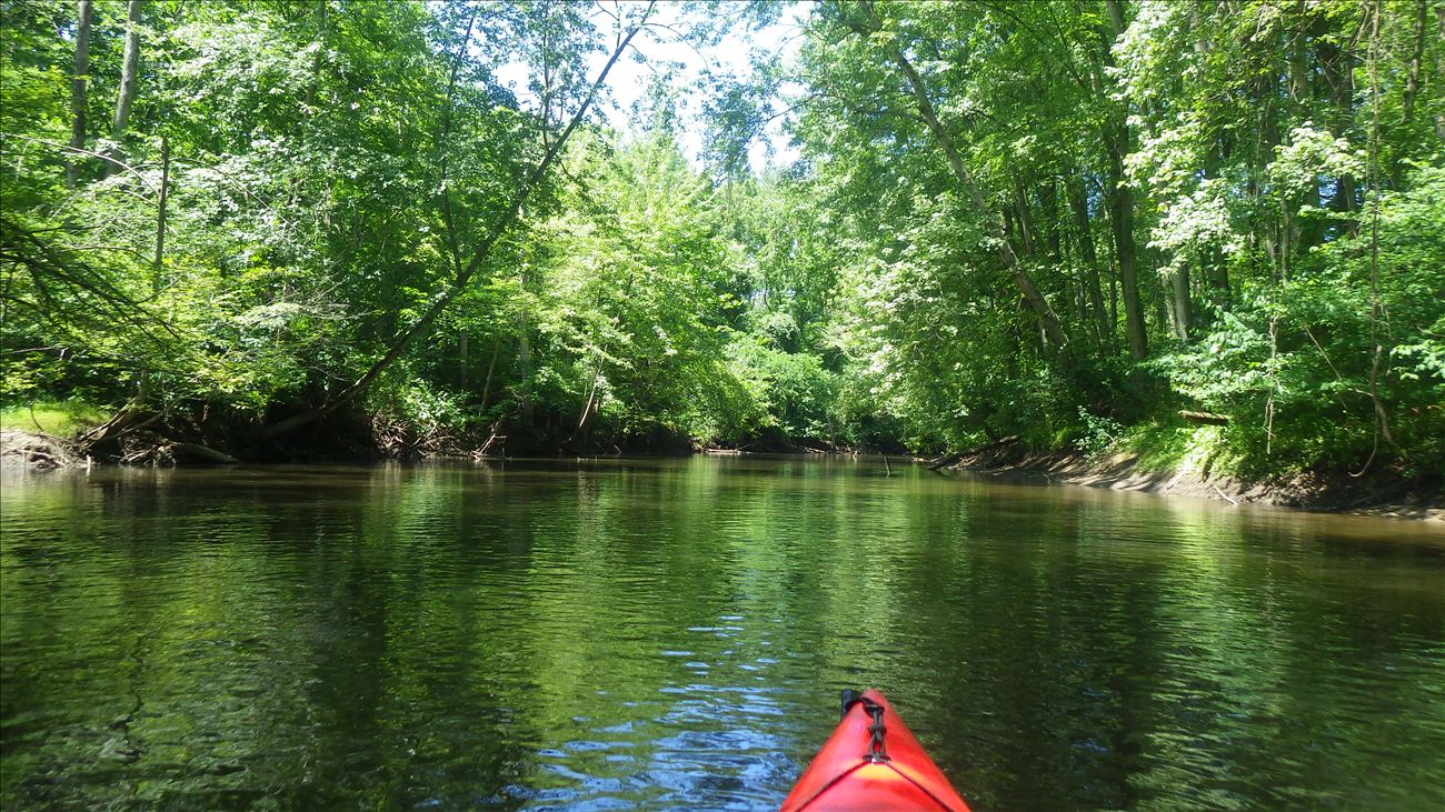 undeveloped floodplain forest corridor undeveloped floodplain forest corridor