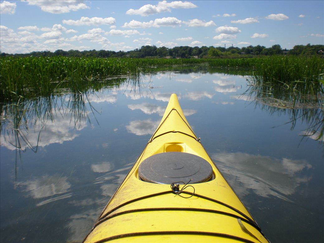 Travelling through Stony Island Travelling through Stony Island