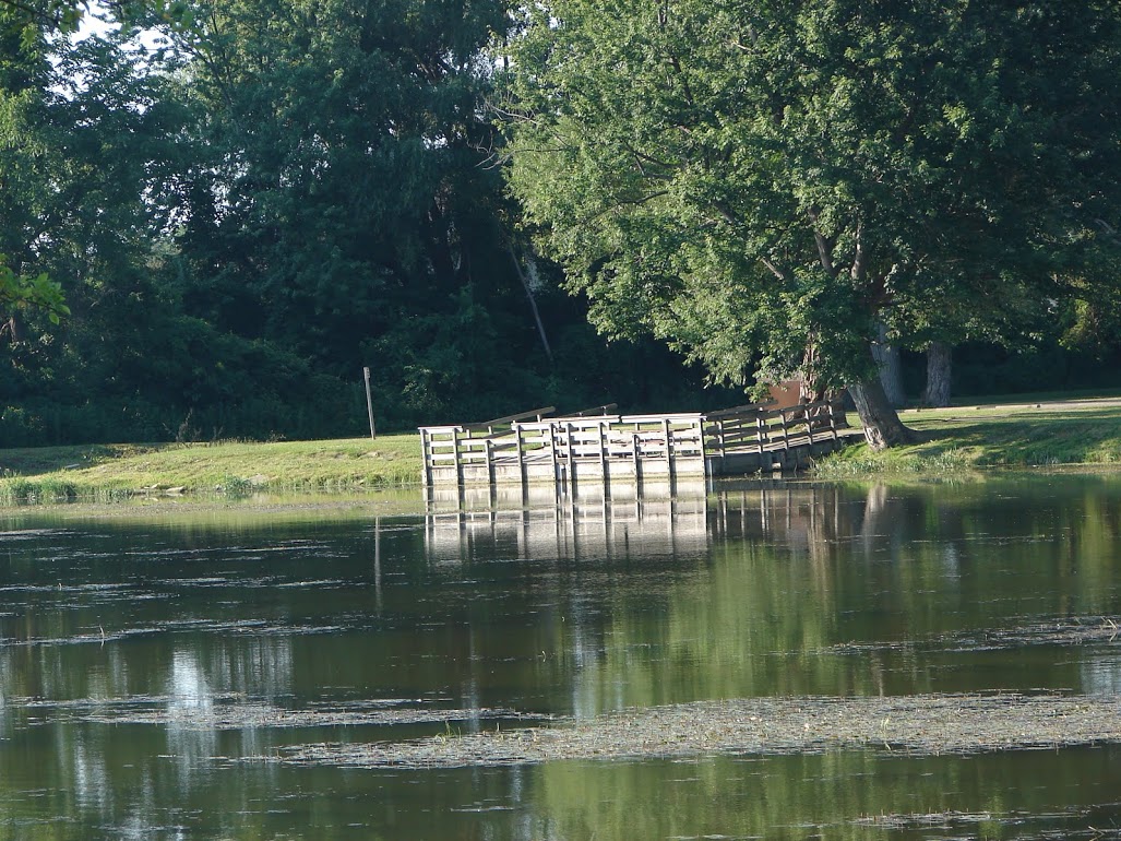 waterloo_park.jpg waterloo_park.jpg